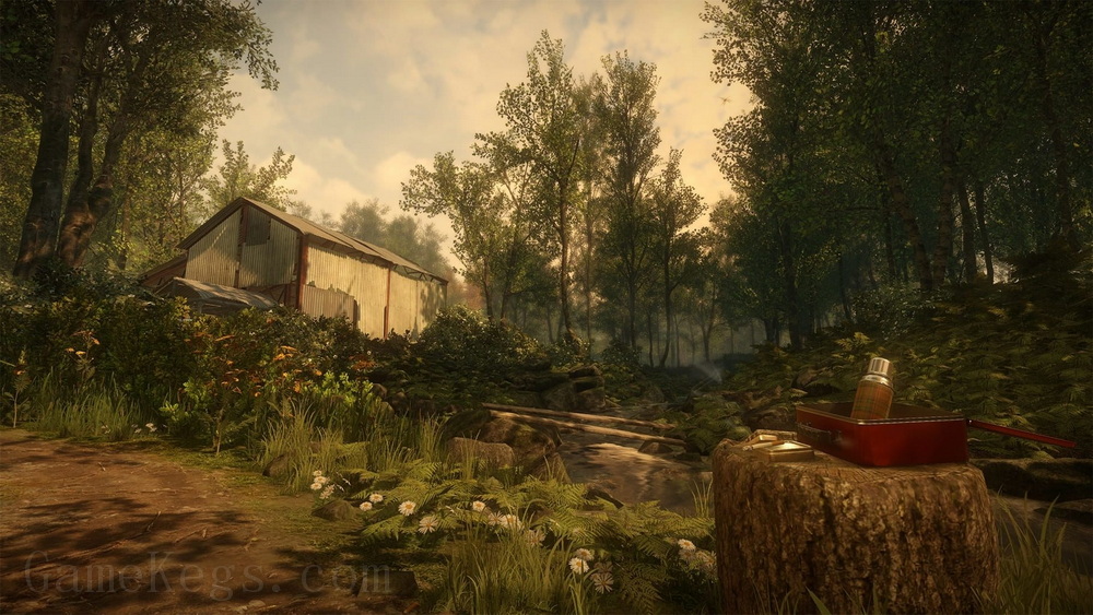 万众狂欢.Everybody’s Gone to the Rapture