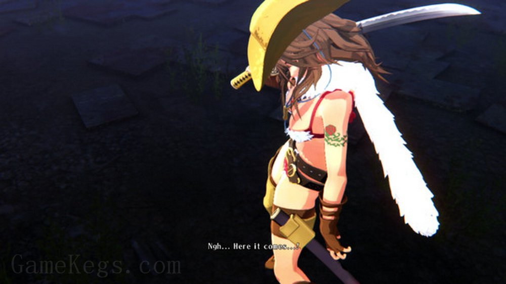 御姐玫瑰：起源 – 豪华版.OneeChanbara Origin DELUXE