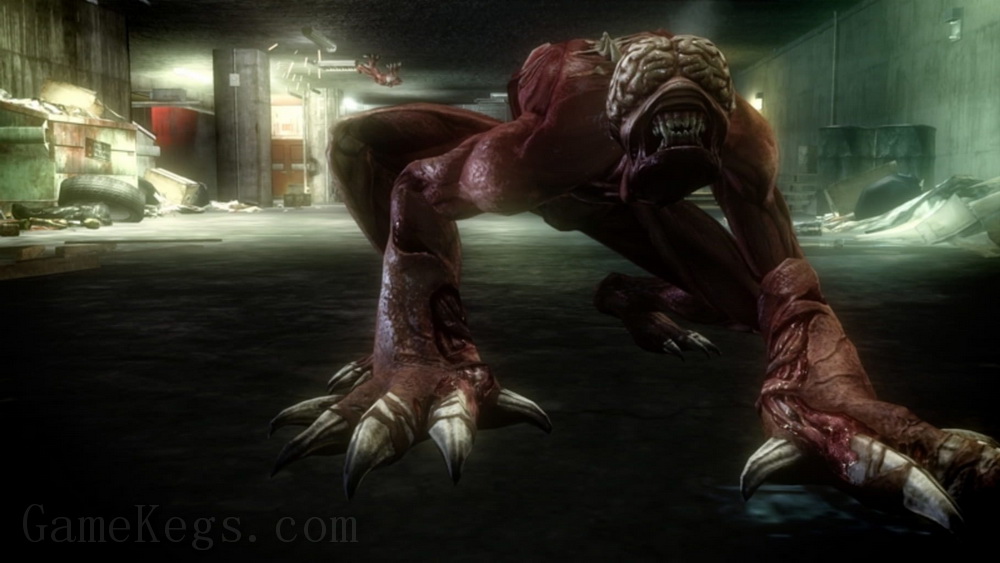 生化危机：浣熊市行动.Resident Evil: Operation Raccoon City