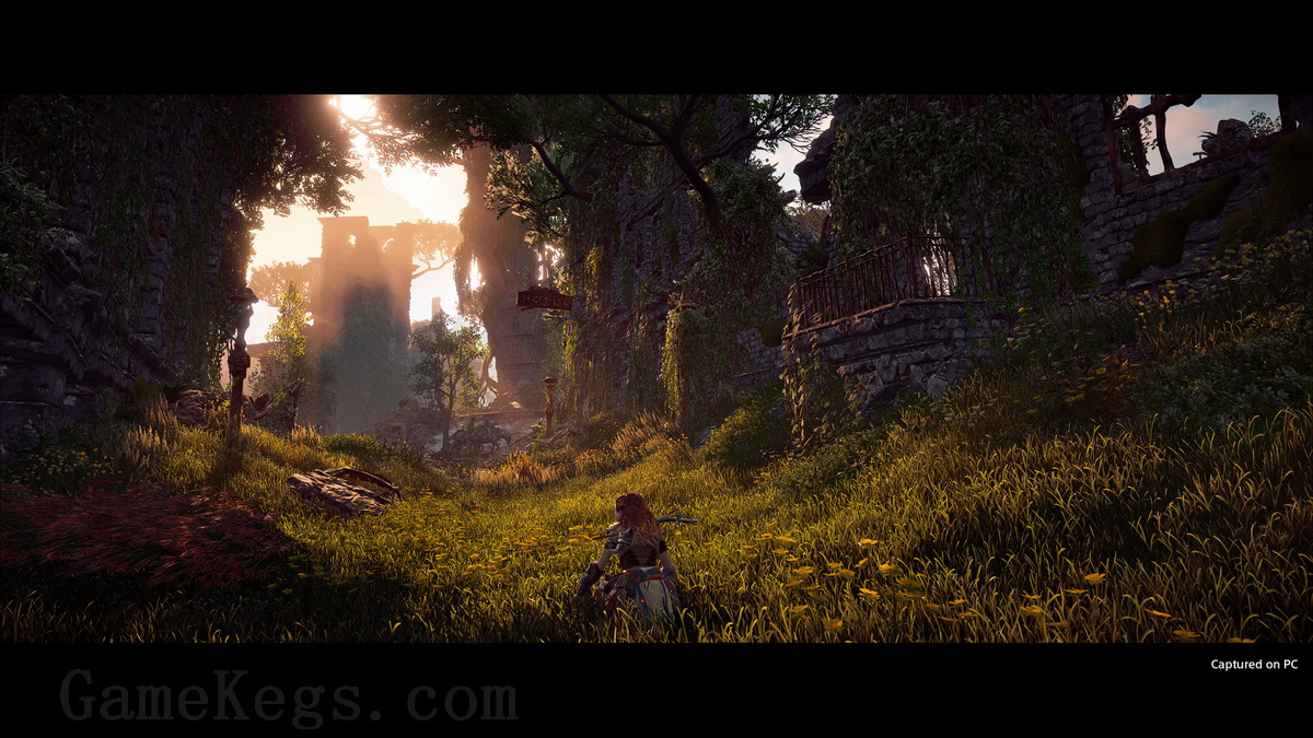 地平线：零之曙光 – 完全版.Horizon Zero Dawn Complete Edition