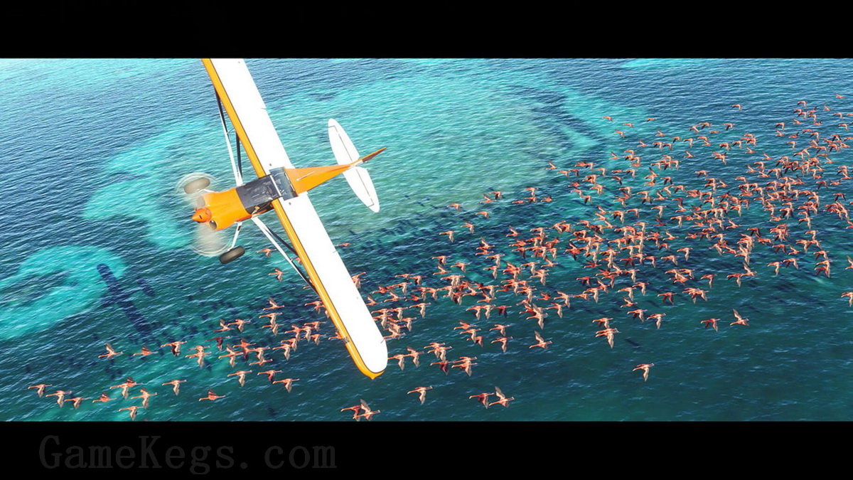 微软飞行模拟：40周年纪念版.Microsoft Flight Simulator 40th Anniversary Edition