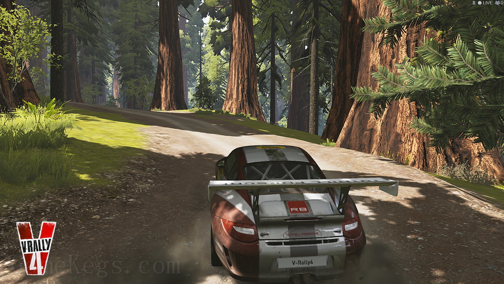 V拉力4.V-Rally 4