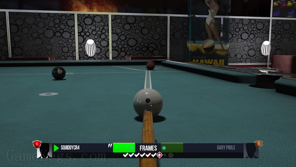 台球国度.Pool Nation