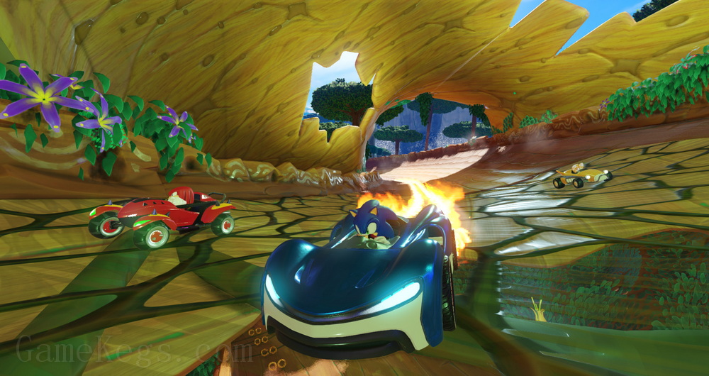索尼克团队赛车PS4.Team Sonic Racing