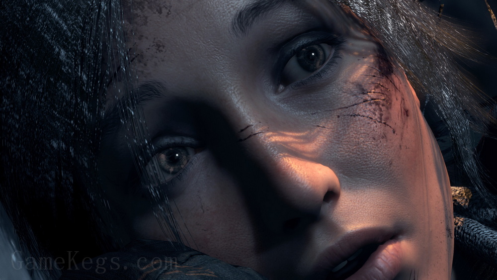 古墓丽影：崛起.20 周年纪念版.Rise of the Tomb Raider: 20 Year Celebration