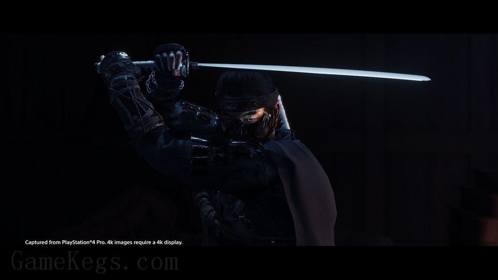对马岛之魂.Ghost of Tsushima