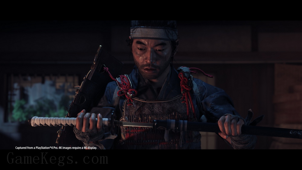 对马岛之魂.Ghost of Tsushima