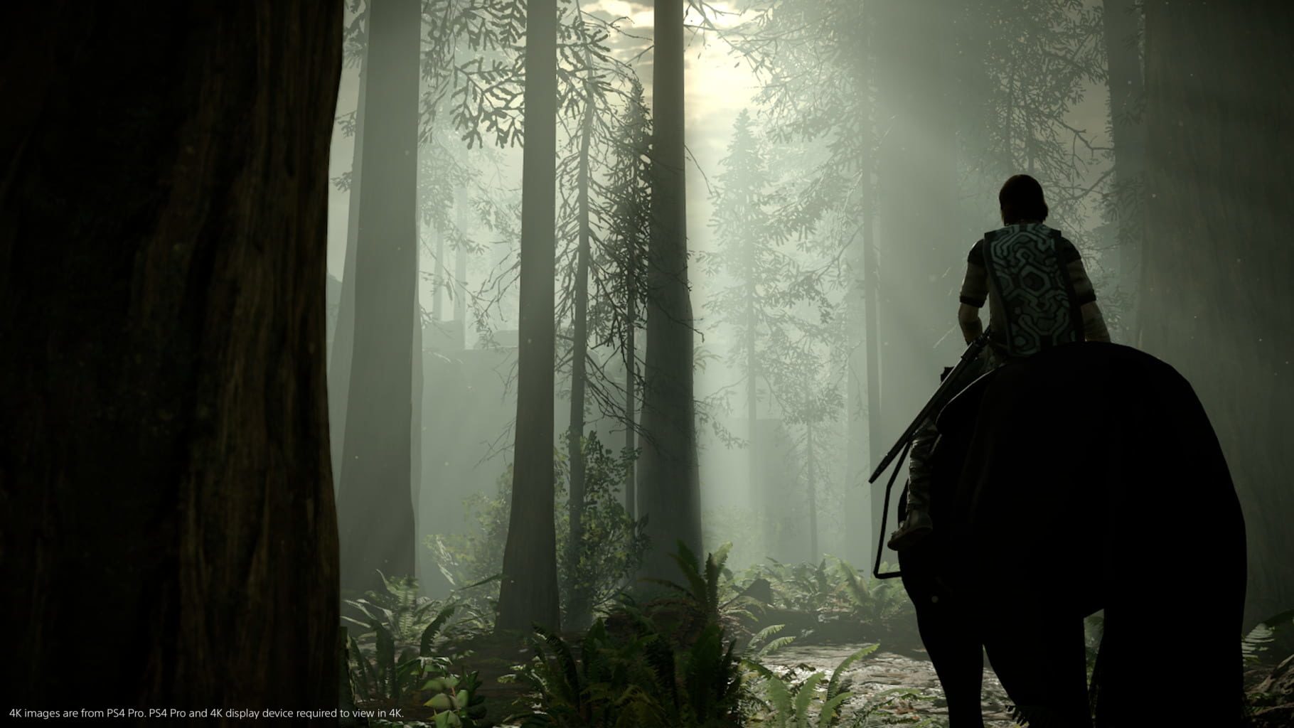 旺达与巨像：重制版.Shadow of the Colossus