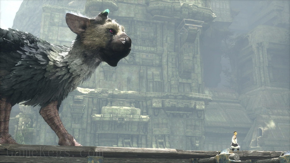 最后的守护者.The Last Guardian