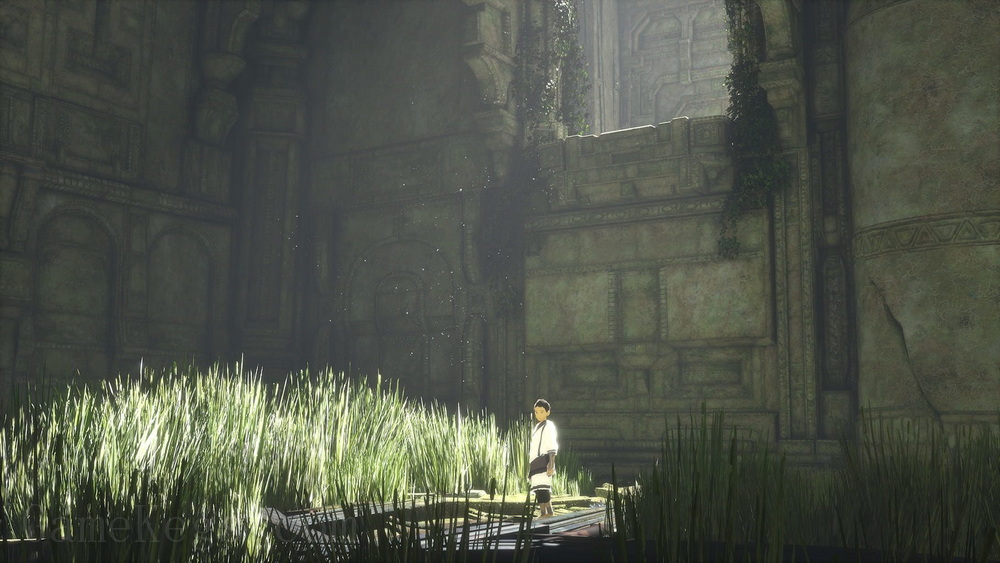 最后的守护者.The Last Guardian