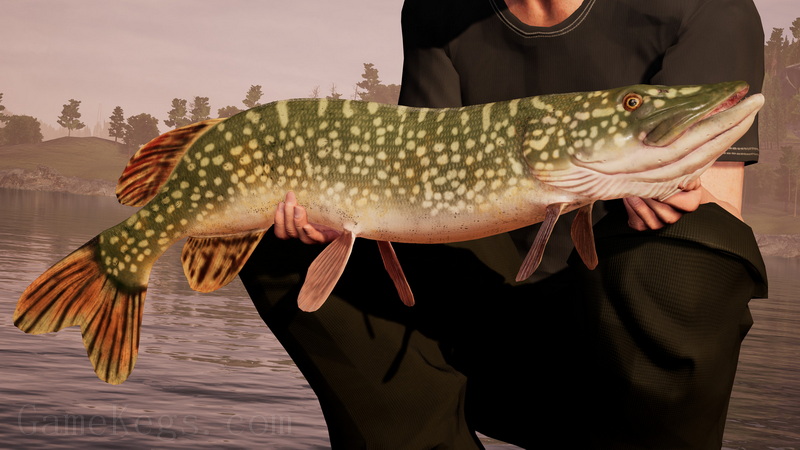 钓鱼模拟世界.Fishing Sim World