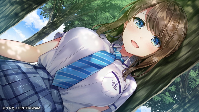甜蜜经理.Amamane