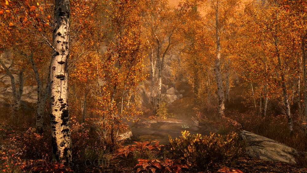 上古卷轴5：天际 特别版.The Elder Scrolls V:Skyrim Special Edition