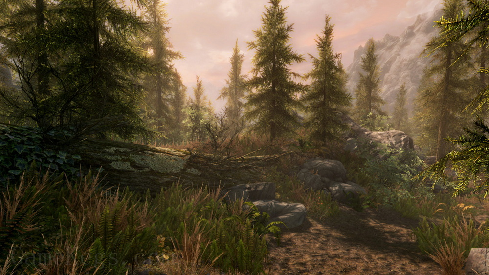 上古卷轴5：天际 特别版.The Elder Scrolls V:Skyrim Special Edition