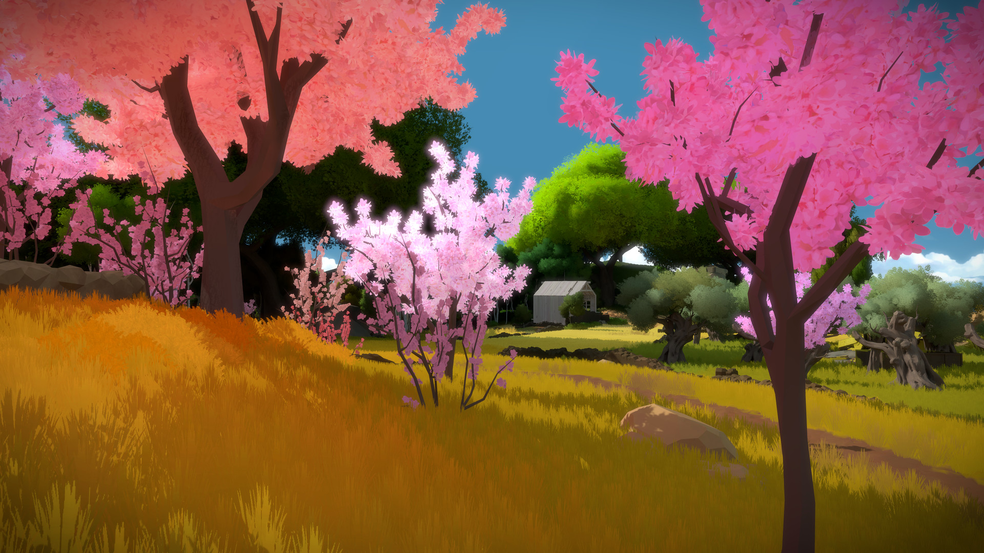 见证者.The Witness