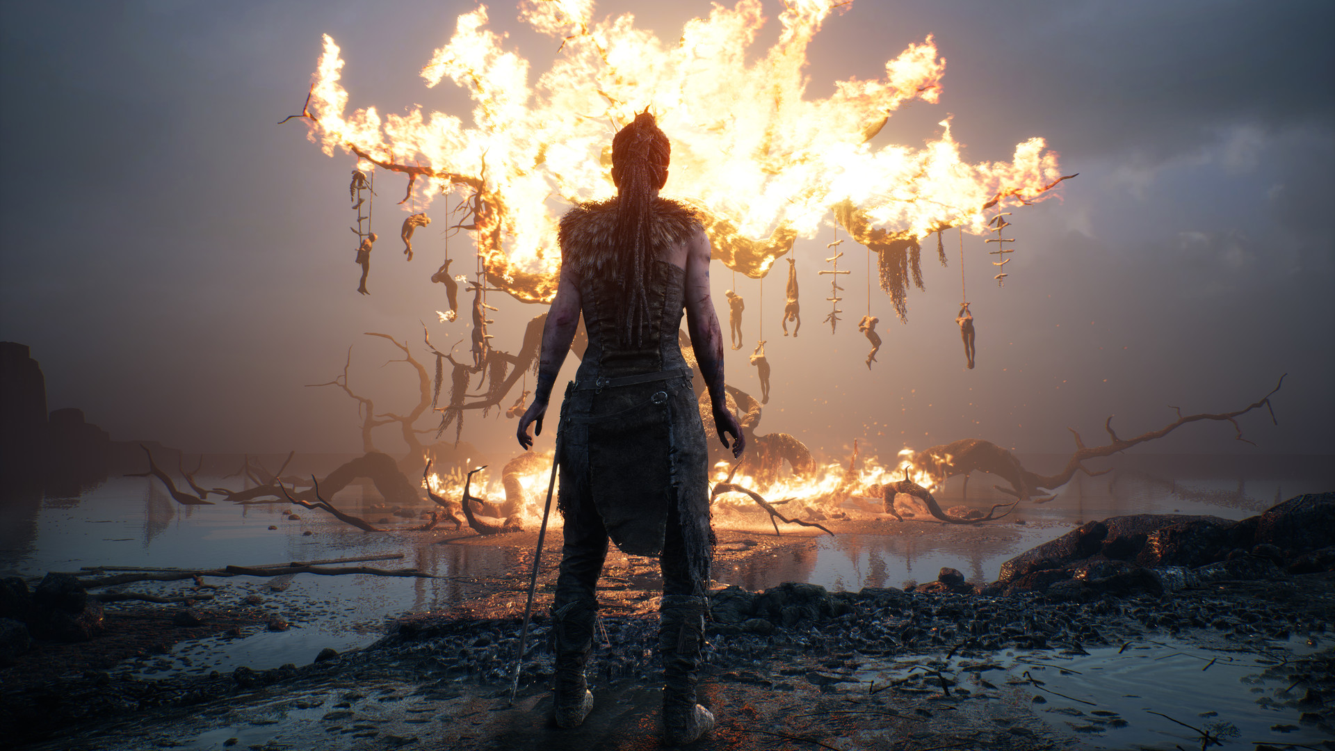 地狱之刃：塞娜的献祭.Hellblade: Senua’s Sacrifice