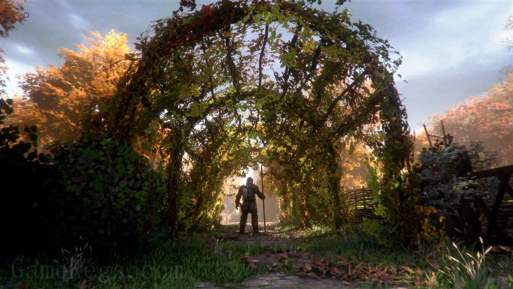瘟疫传说：无罪.A Plague Tale: Innocence