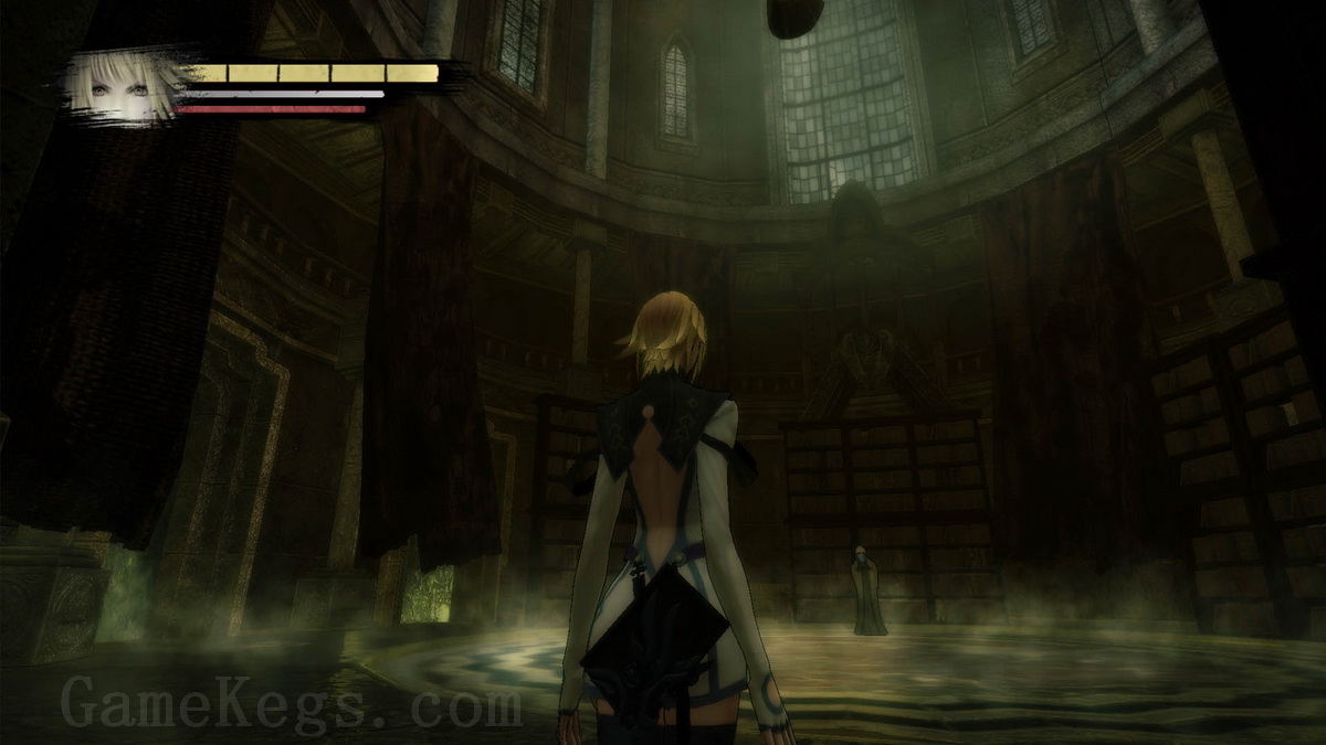 阿尼玛:回忆之门.Anima: Gate of Memories