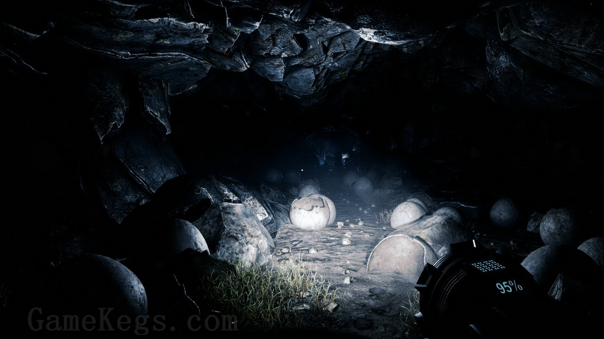 独自一人.The Solus Project