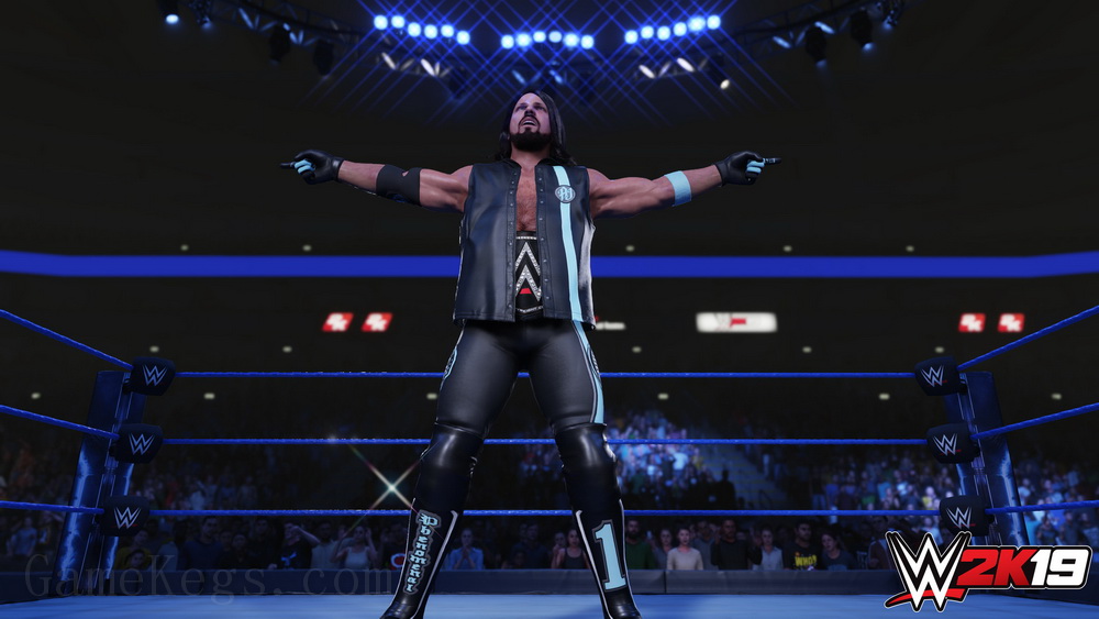 美国职业摔角联盟 2K19.WWE 2K19