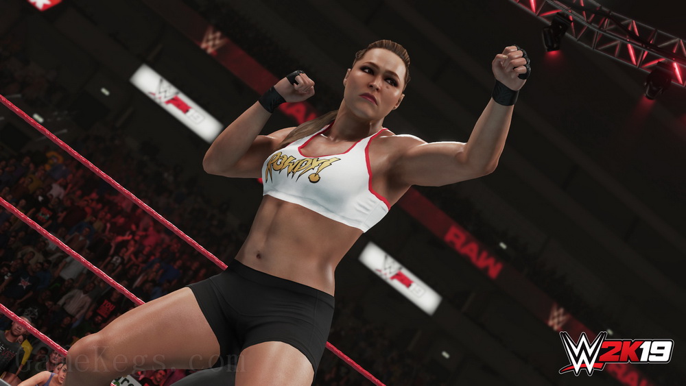 美国职业摔角联盟 2K19.WWE 2K19
