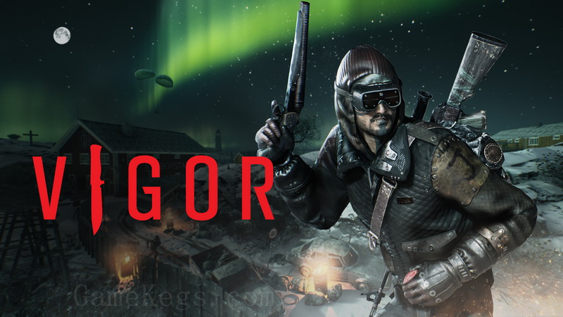 维戈尔.Vigor