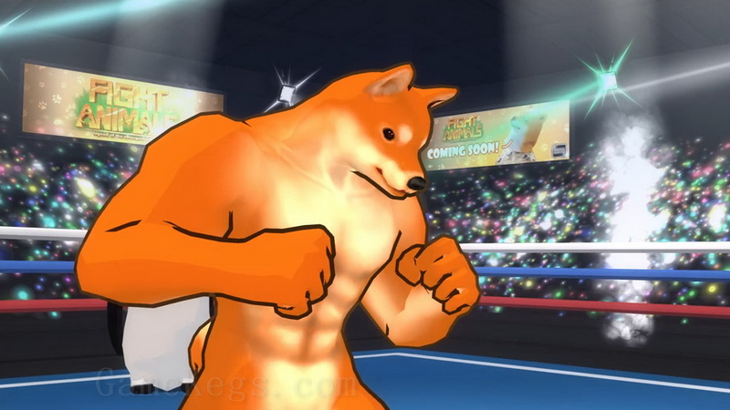 动物之斗.Fight of Animals