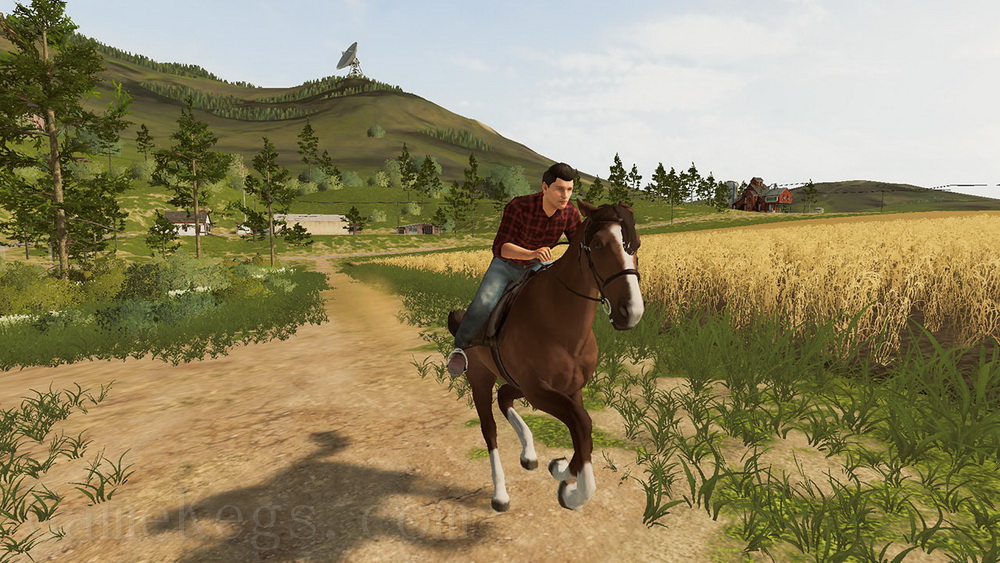 模拟农场2020.Farming Simulator 20