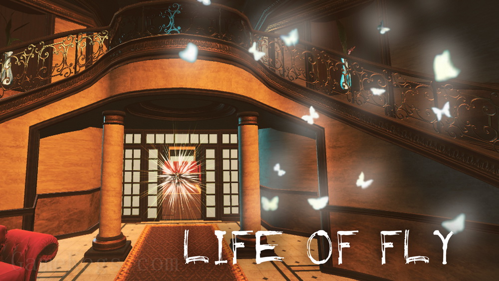 蝇的生活.Life of Fly