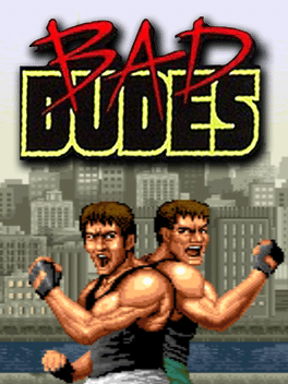 复古经典街机：龙行忍者.Johnny Turbo’s Arcade: Bad Dudes