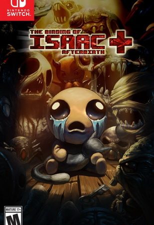 以撒的结合：胎衣+.The Binding of Isaac: Afterbirth+