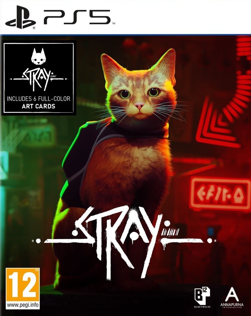 流浪猫.Stray